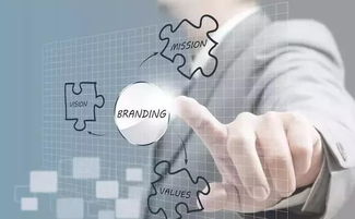 注册公司前必须熟知的6个方面 知识产权服务与财税规划