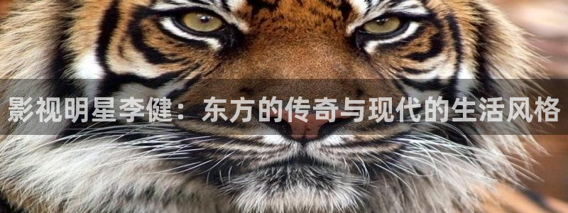 韩伦影院极速播放