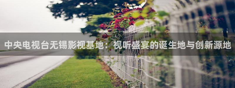 月亮影视大全蓝光极速