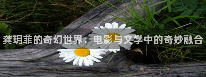 极速影院2025最新电影在线观看