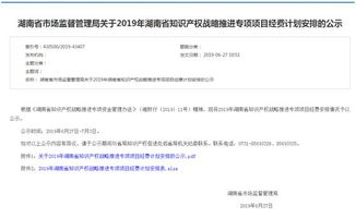 省知识产权战略实施专项项目花落祁阳职中，助推知识产权服务升级
