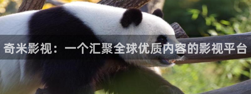 快手极速版发视频怎么挣钱