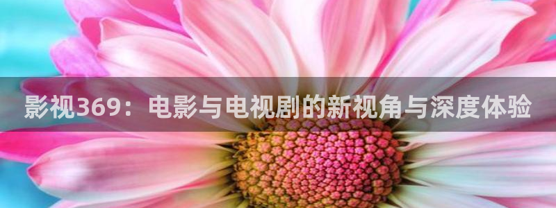 极速影院：影视369：电影与电视剧的新视角与深度体验